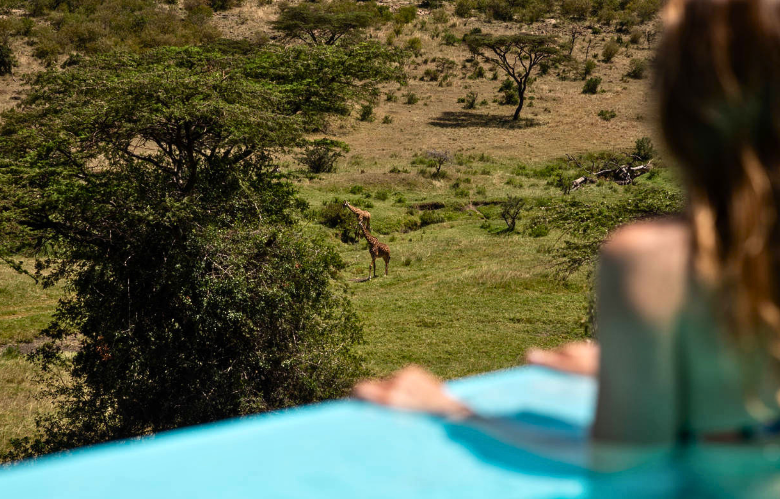 Tented Camp Horizon Pool — Infinity pool overlooking a watering hole frequented by elephants.